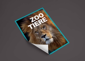 Erstelle dein individuelles Stickeralbum für dein Tierpark