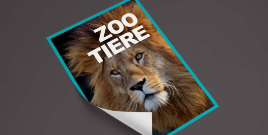 Stickerbuch Zoo Tiere Portfolio