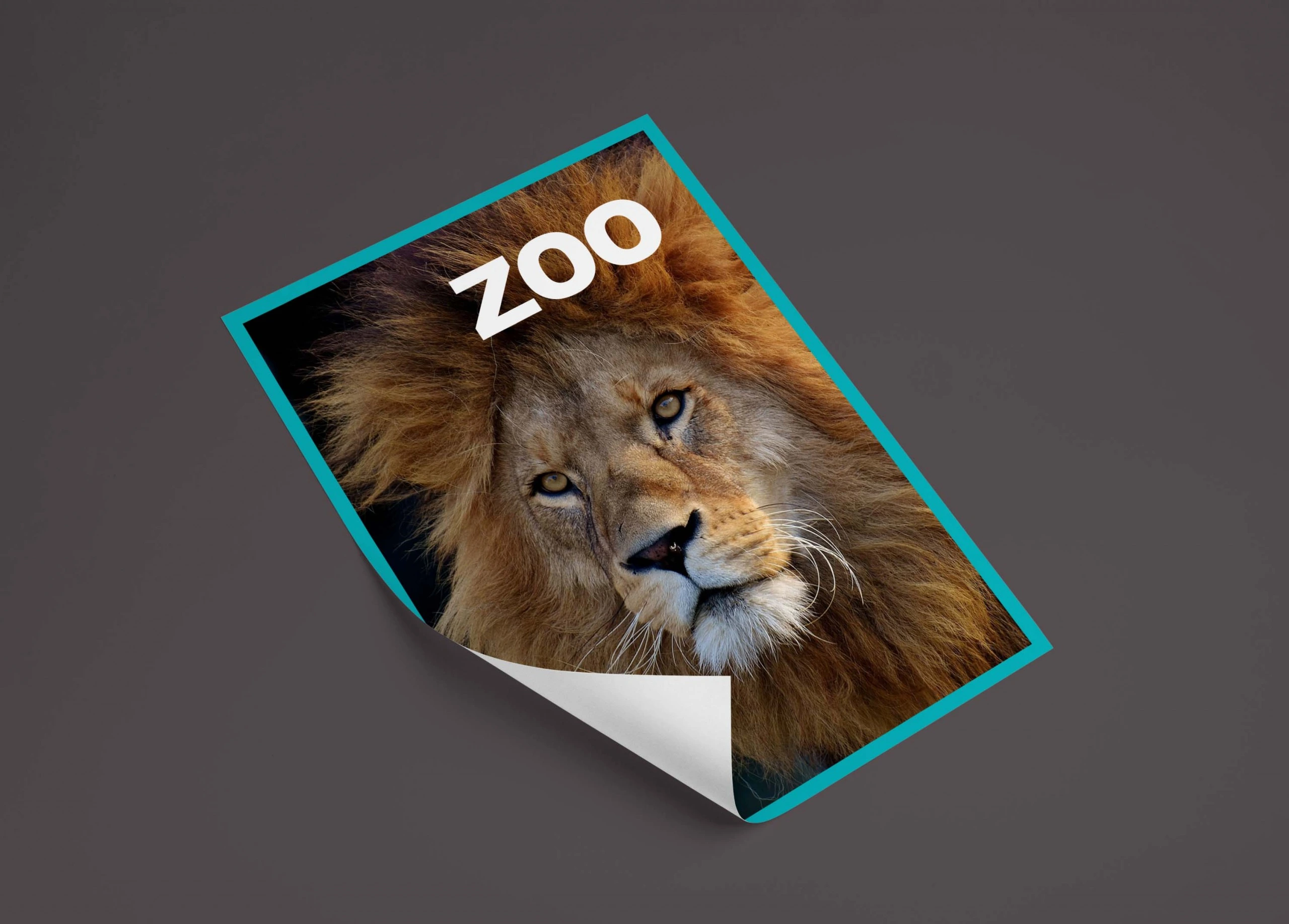 Zoo Stickeralbum