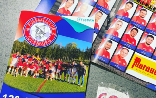 Verkaufe Sponsoren-Flächen in deinem Verein Stickeralbum um den Gewinn der Aktion zu maximieren. Sticker-Concept